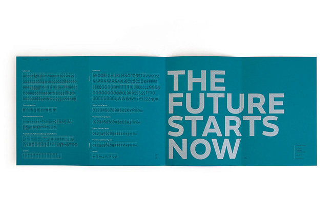 FSE_Booklet_Web_14W
